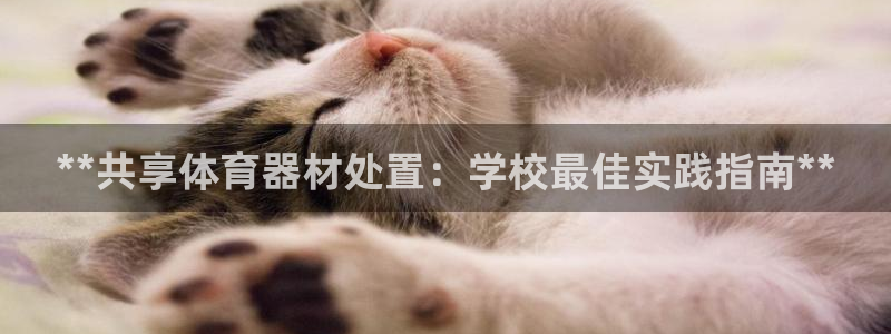 耀世平台开户要求：**共享体育器材处置：学校最佳实践