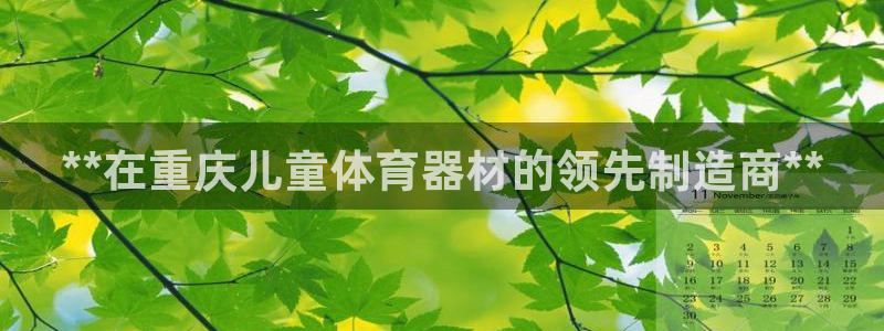 耀世集团视频直播怎么样：**在重庆儿童体育器材的领先