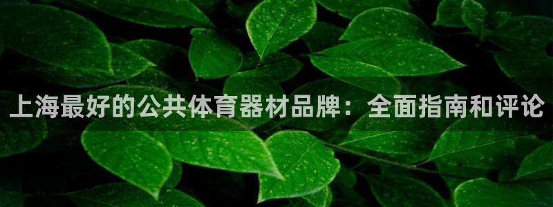 耀世平台注册步骤微博：上海最好的公共体育器材品牌：全
