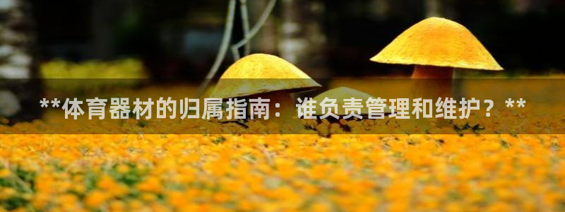 耀世挑战第三关怎么过：**体育器材的归属指南：谁负责