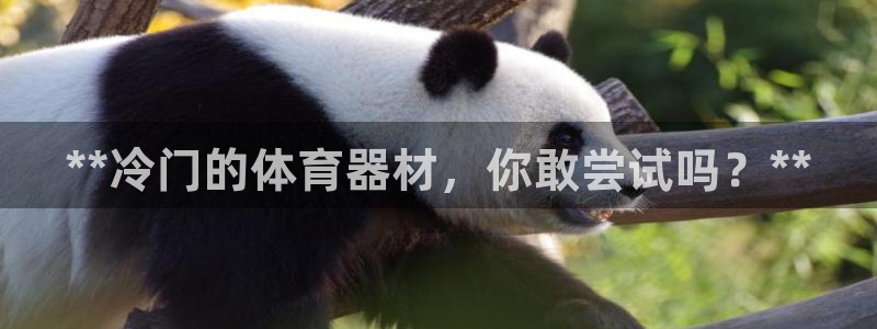 耀世天下图片：**冷门的体育器材，你敢尝试吗？**