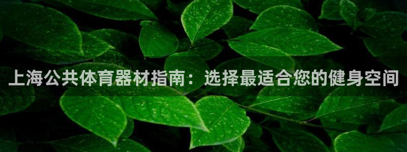 耀世捷科技：上海公共体育器材指南：选择最适合您的健身