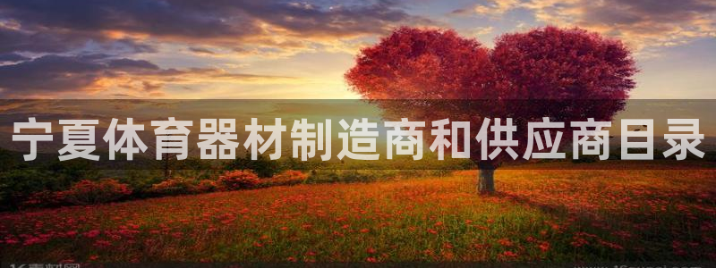 耀世娱乐挂机赚钱吗：宁夏体育器材制造商和供应商目录