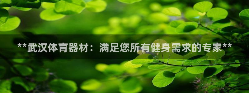 耀世集团公益：**武汉体育器材：满足您所有健身需求的