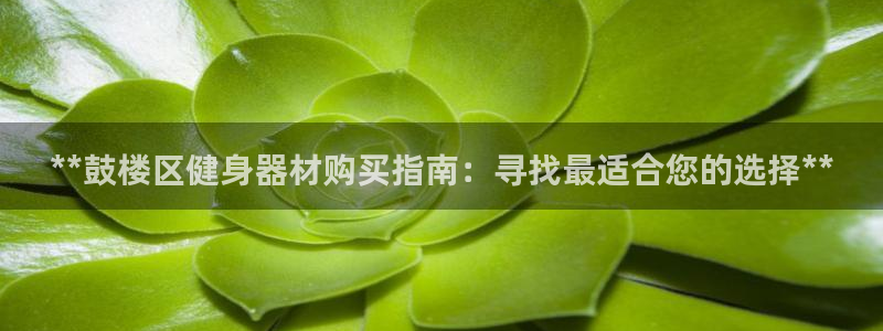 耀世平台总代理电话：**鼓楼区健身器材购买指南：寻找