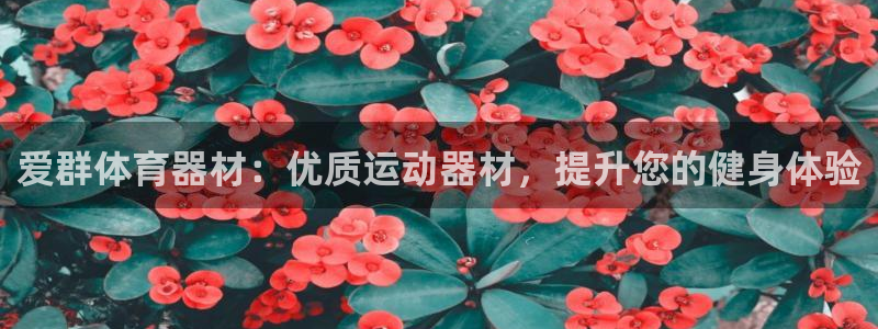 耀世盛典官网：爱群体育器材：优质运动器材，提升您的健