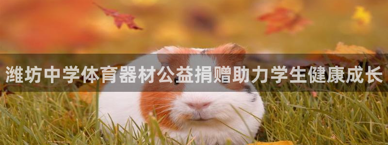 耀世娱乐官网网站入口：潍坊中学体育器材公益捐赠助力学