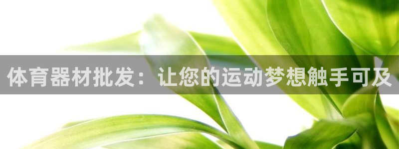 耀世娱乐挂机：体育器材批发：让您的运动梦想触手可及