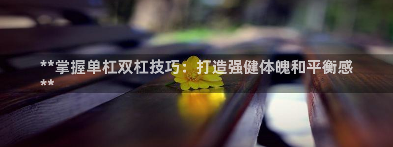 耀世娱乐代理什么待遇可以做：**掌握单杠双杠技巧：打