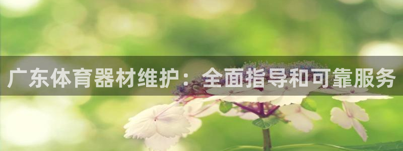 耀世天下图片大全：广东体育器材维护：全面指导和可靠服