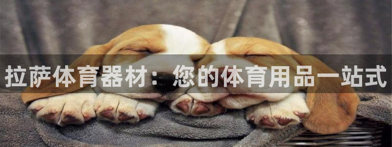 耀世娱乐官方网站：拉萨体育器材：您的体育用品一站式