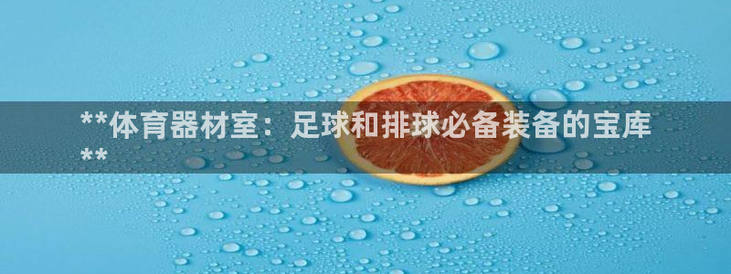 耀世平台注册流程视频：**体育器材室：足球和排球必备
