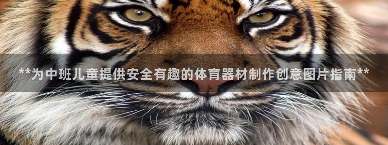 耀世平台开户流程：**为中班儿童提供安全有趣的体育器