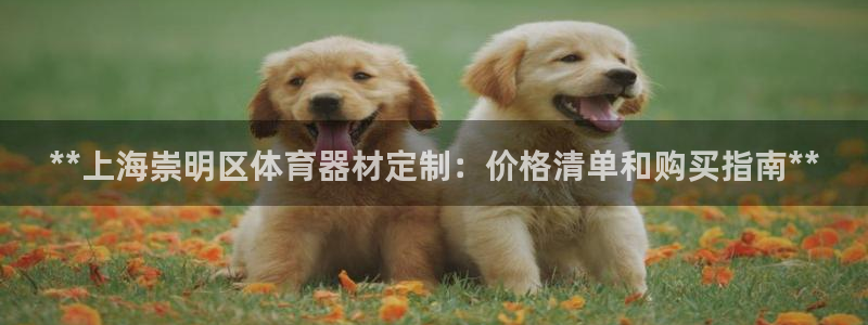 耀世平台客服24小时在线咨询：**上海崇明区体育器材