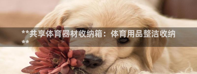 耀世啥意思：**共享体育器材收纳箱：体育用品整洁收纳