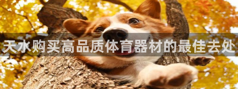 耀世娱乐客服电话号码：天水购买高品质体育器材的最佳去