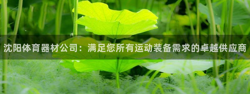 耀世平台理 411o31 平台：沈阳体育器材公司：满