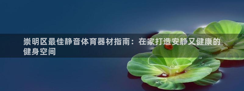 耀世娱乐丁6.7.5.1.3.8：崇明区最佳静音体育