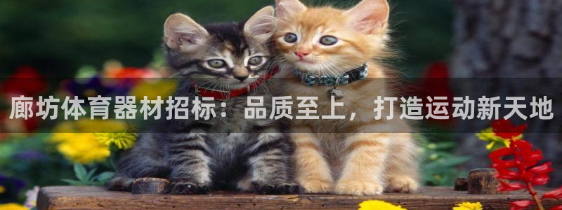 耀世平台产7O777：廊坊体育器材招标：品质至上，打