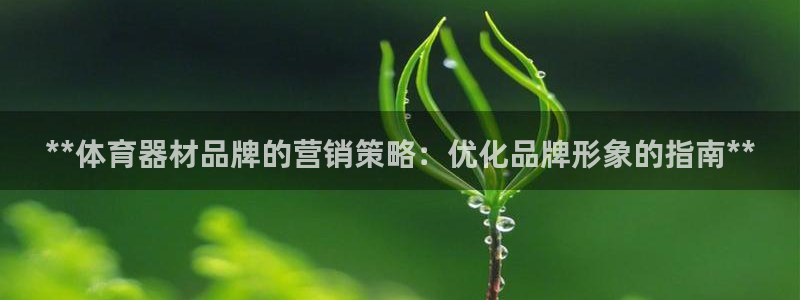 耀世挑战攻略：**体育器材品牌的营销策略：优化品牌形