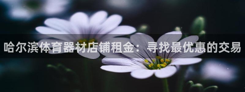 耀世娱乐佳 411O31 耀世：哈尔滨体育器材店铺租