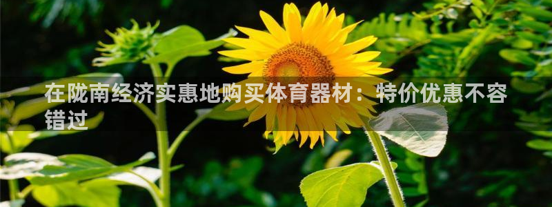 耀世娱乐赢咖6代理：在陇南经济实惠地购买体育器材：特