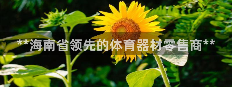 耀世娱乐平台官网下载：**海南省领先的体育器材零售商