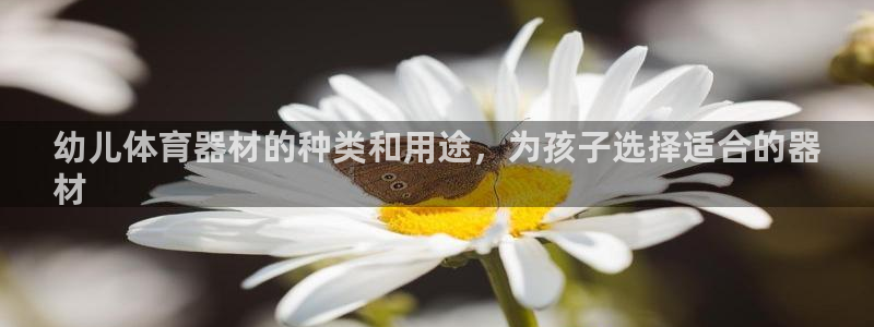 耀世娱乐可以玩吗是真的吗：幼儿体育器材的种类和用途，