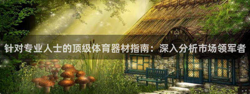 耀世平台合作 585.34I 平台：针对专业人士的顶
