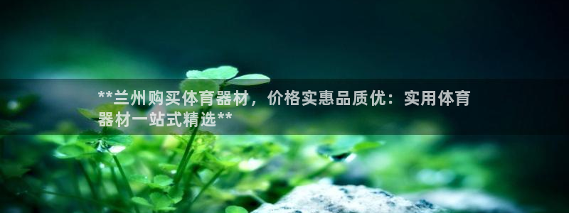 耀世娱乐挂机怎么玩：**兰州购买体育器材，价格实惠品
