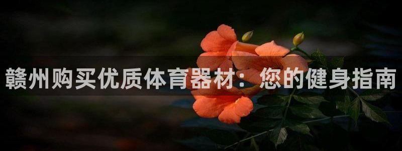 耀世娱乐登入：赣州购买优质体育器材：您的健身指南