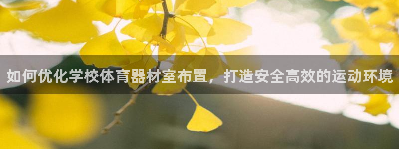 耀世娱乐安全吗：如何优化学校体育器材室布置，打造安全