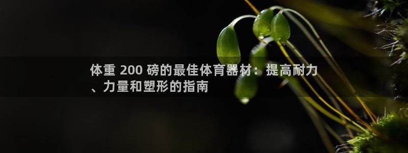 耀世娱乐网站官网：体重 200 磅的最佳体育器材：提