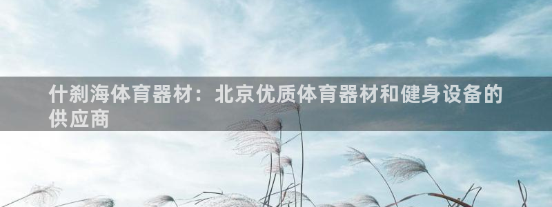 耀世平台注册开户需要什么：什刹海体育器材：北京优质体