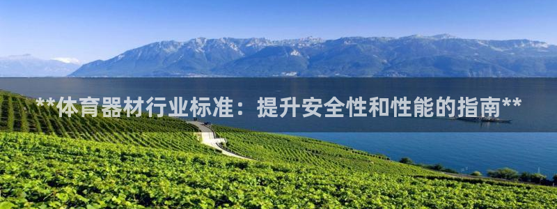 耀世娱乐在线登录官网入口：**体育器材行业标准：提升