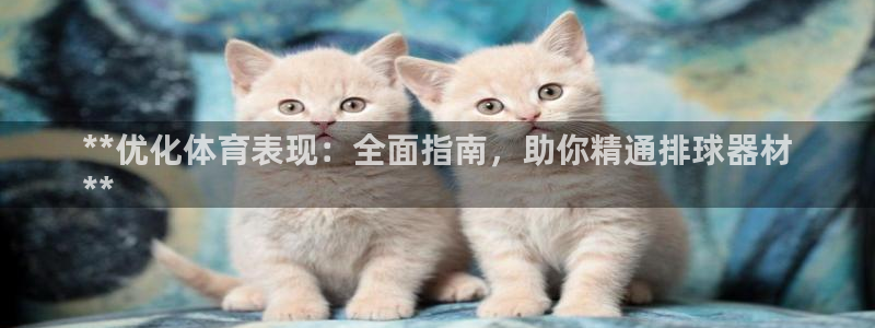 耀世国际平台正规吗安全吗是真的吗：**优化体育表现：