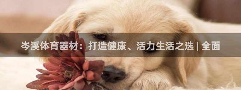 耀世平台哪个彩种是公平彩中的：岑溪体育器材：打造健康