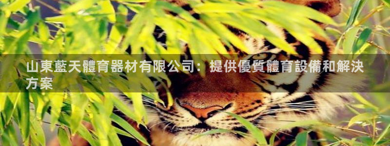 耀世平台注册链接怎么弄：山東藍天體育器材有限公司：提