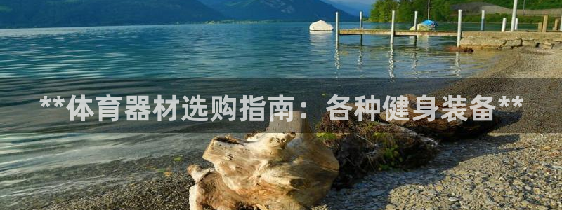耀世娱乐赢咖6代理：**体育器材选购指南：各种健身装