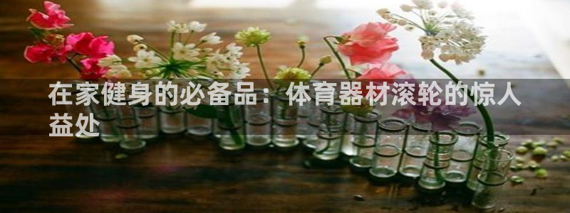 耀世娱乐网址是什么啊：在家健身的必备品：体育器材滚轮