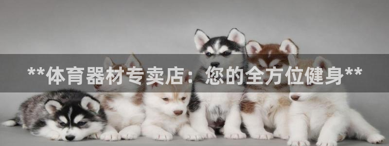 耀世娱乐下载链接安装包：**体育器材专卖店：您的全方