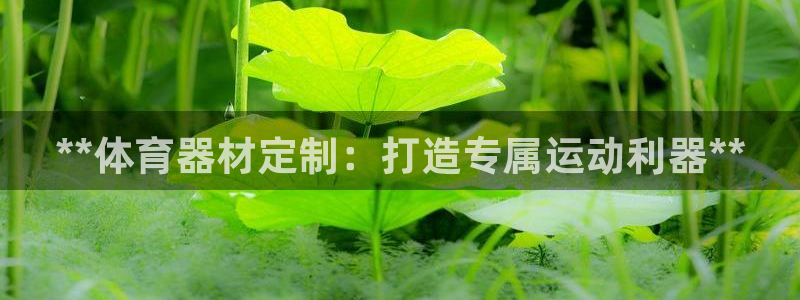 耀世燃气灶是哪个牌子：**体育器材定制：打造专属运动