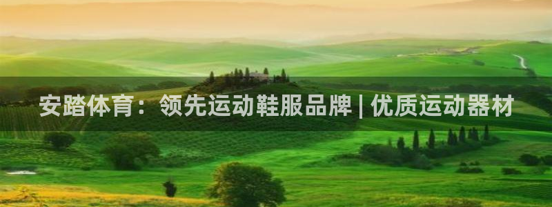 耀世娱乐软件下载：安踏体育：领先运动鞋服品牌 | 优