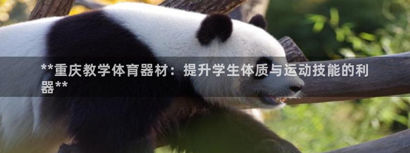 耀世娱乐官方网站登录：**重庆教学体育器材：提升学生