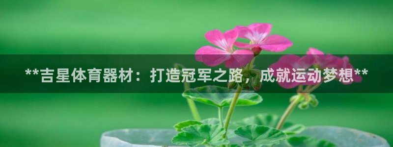 耀世燃气灶是哪个牌子：**吉星体育器材：打造冠军之路