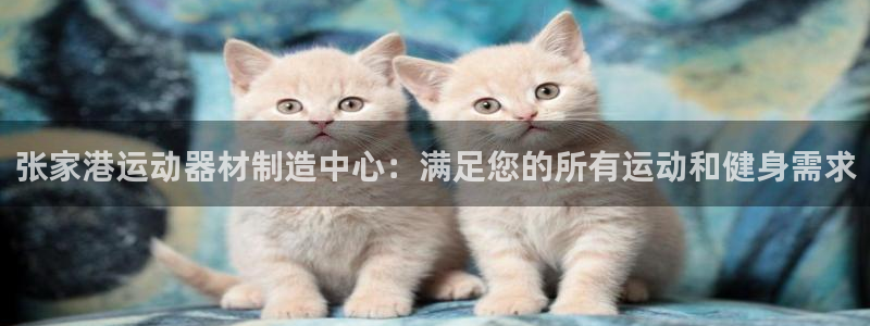 耀世娱乐的494o3 主管：张家港运动器材制造中心：
