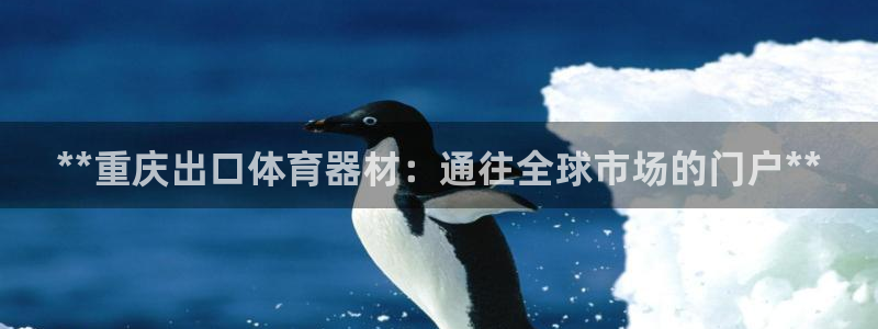 耀世开放什么意思：**重庆出口体育器材：通往全球市场