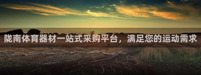 耀世娱乐挂机脚本：陇南体育器材一站式采购平台，满足您