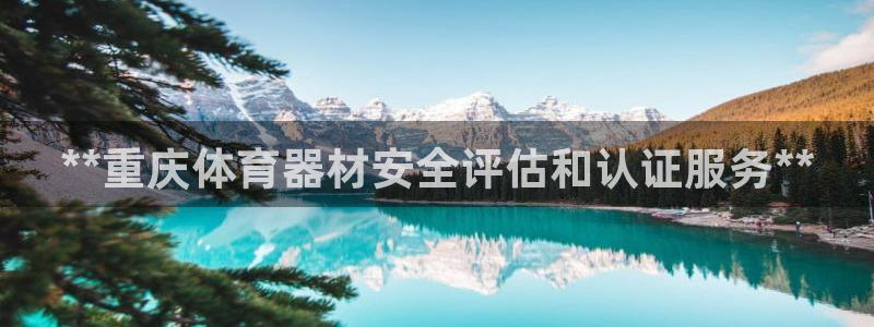 耀世平台开户流程：**重庆体育器材安全评估和认证服务
