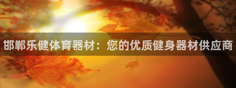 耀世平台注册登录：邯郸乐健体育器材：您的优质健身器材